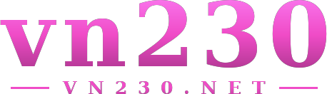 vn230 logo